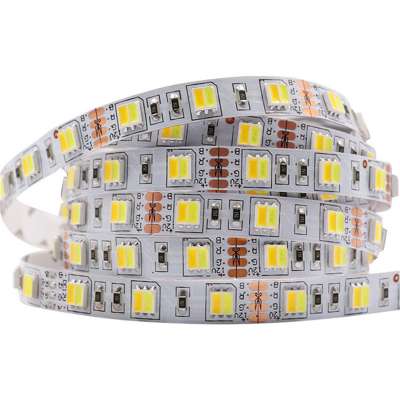 DC12V 24V Double Color 5050 LED Strip White / Warm White Dual White 2 color in 1 Chip sequential led strip